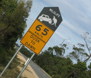 Illustration for article titled Seven Surreal Road Art Scenes